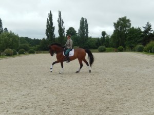 démonstration dressage par Mme Henriquet