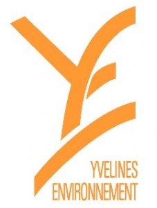 LOGO YE_50