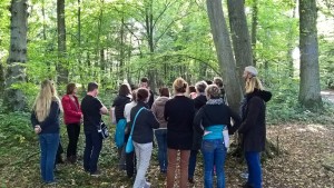 En forêt domaniale de Port-Royal