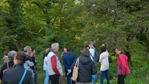 En route vers la forêt