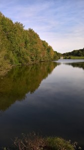L'étang du Manet