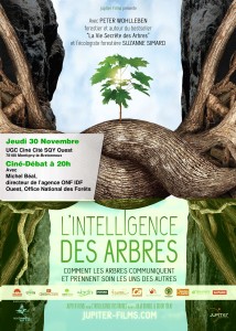 Film L'Intelligence des Arbres